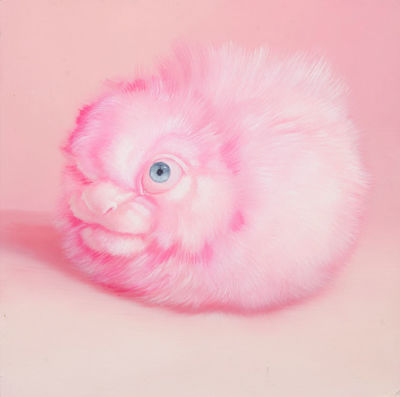 Picture of Wellbutrin