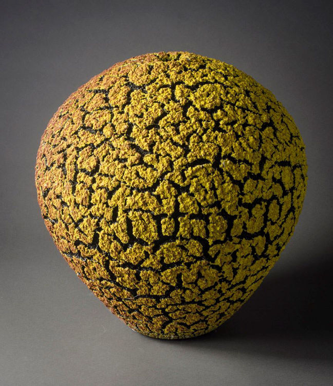 Picture of Yellow/Red Lichen Vase
