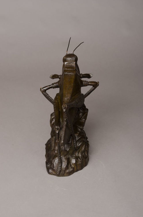 Picture of Grasshopper