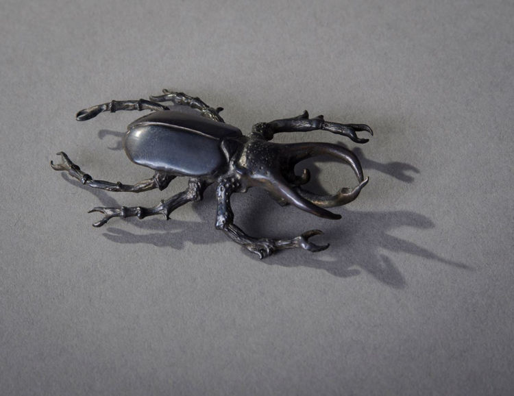 Picture of Life Size Beetle