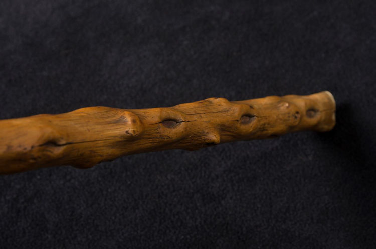 Picture of Maple Cane with Knots