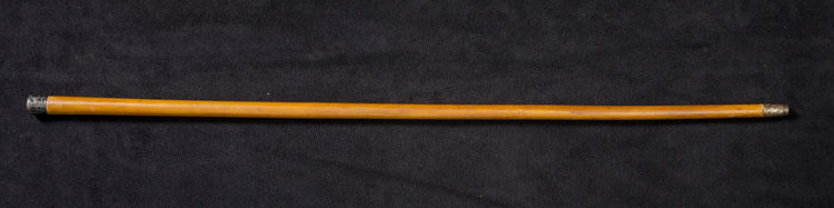 Picture of Alligator Skin Silver Handled Cane