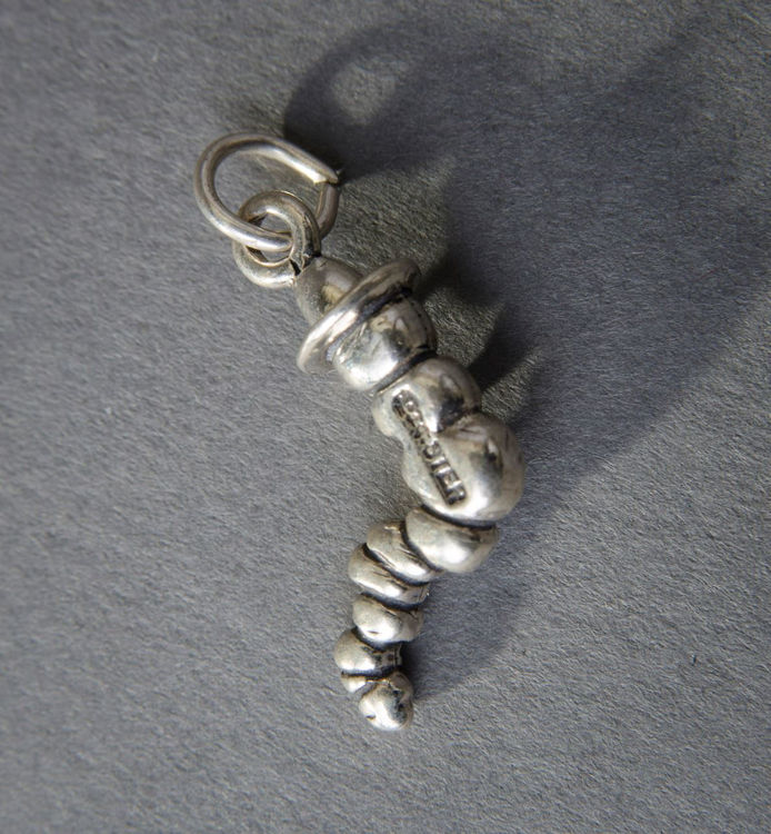 Picture of Smoking Worm Charm
