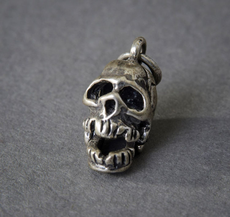 Picture of Skull Charm