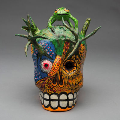 Picture of Skull Frog