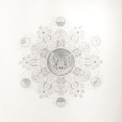 Picture of Snowflakes No. 95 'Ultrasonic Life'