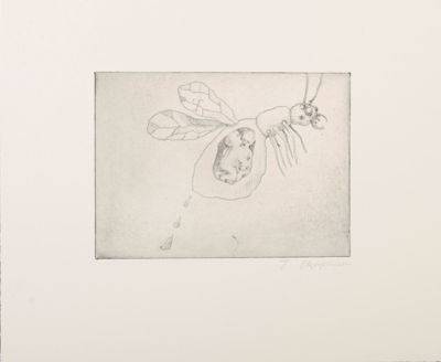 Picture of From the Blackened Beyond