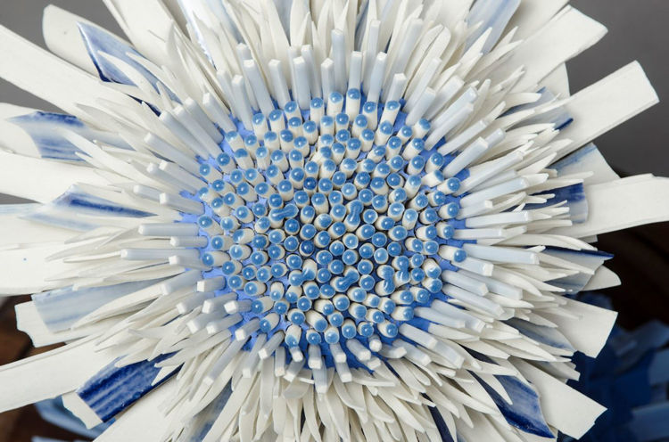 Picture of Blue and White Flower