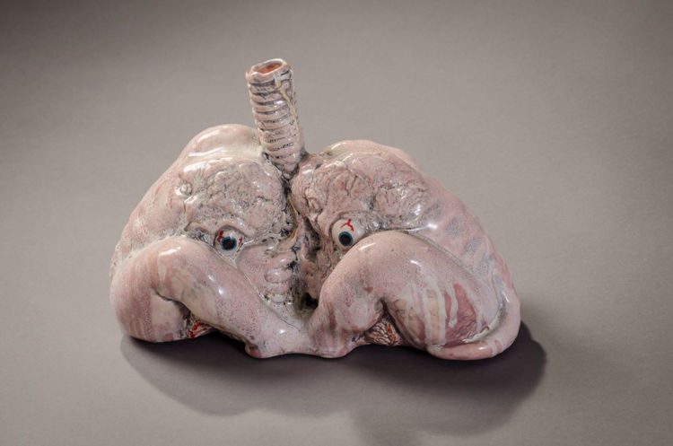 Picture of Lungs