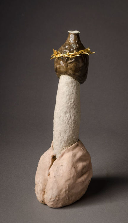 Picture of The Stinkhorn, Glorification I
