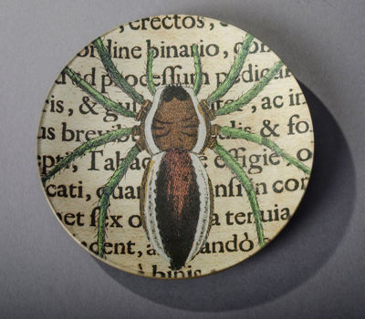 Picture of Brown & Green Spider Plate