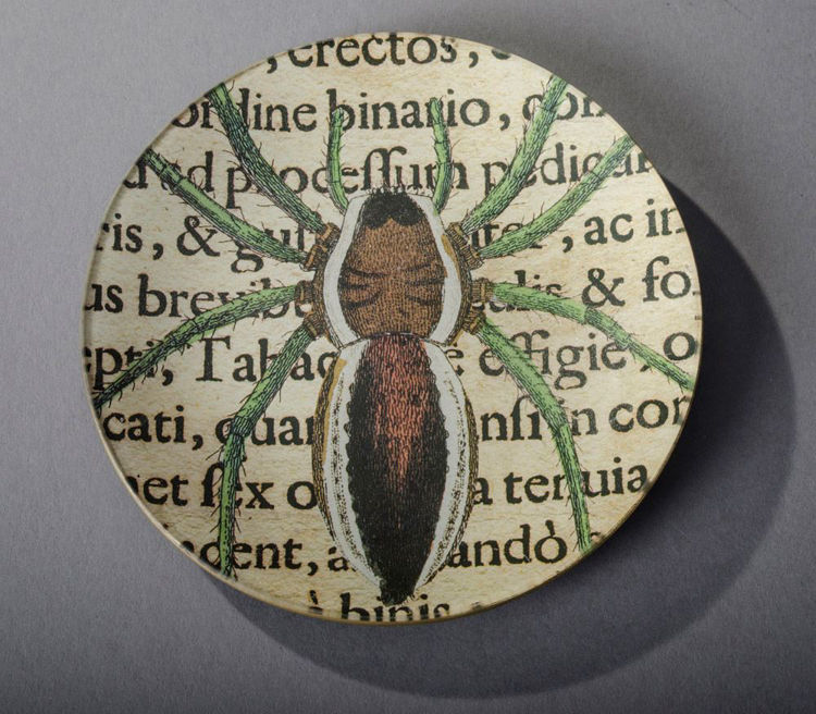 Picture of Brown & Green Spider Plate